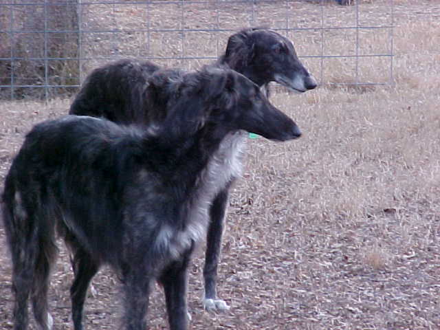 Flyte and her daughter