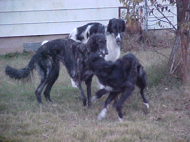 Flyte playing with her kids